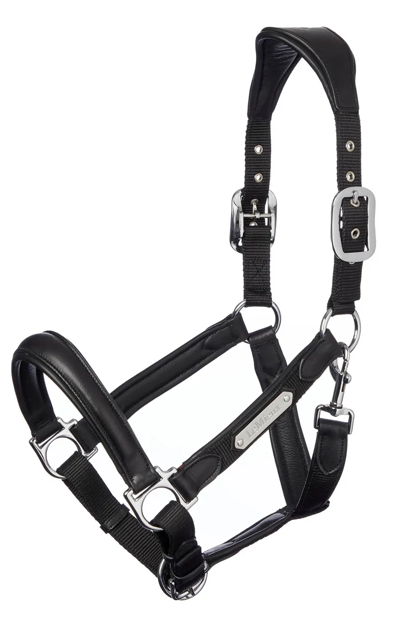 LeMieux Capella Headcollar Black